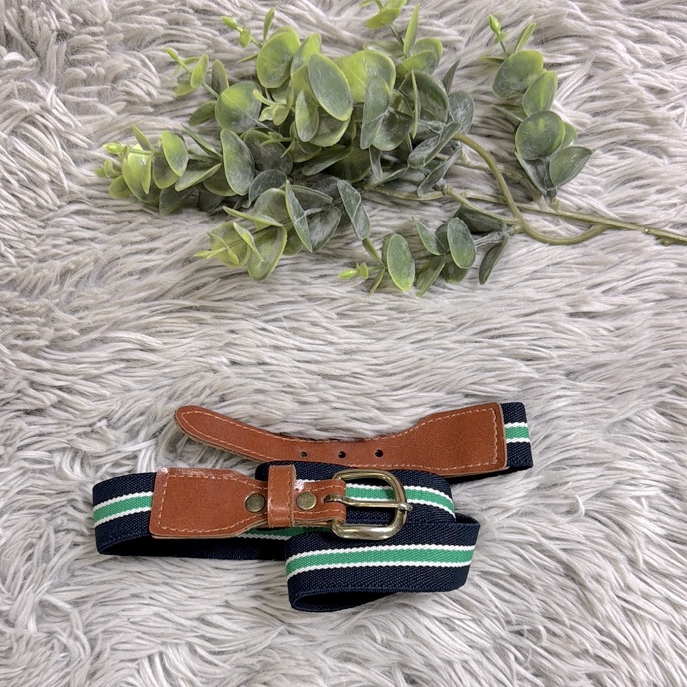 Brown and Green Striped Belt with Gold Buckle